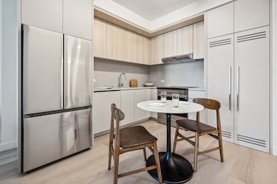 17 Hanover Place unit 31B, Brooklyn, NY 11201 - photo 4