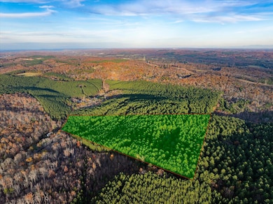 00 Sneed Rd, Decatur, TN 37322 - photo 7