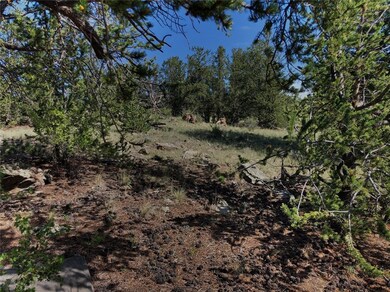 1369 Remington Rd, Como, CO 80432 - photo 4