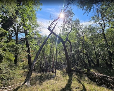 1777 Sprowl Creek Rd, Garberville, CA 95542 - photo 5