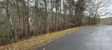 35 Settlers Trail unit 35, Mars Hill, NC 28754 - photo 3