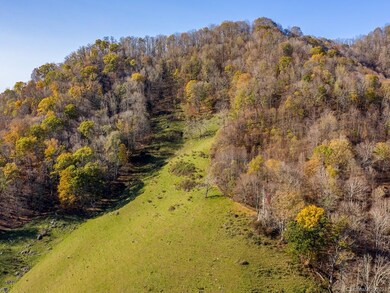 999 Lickskillet Rd, Cane River, NC 28714 - photo 4