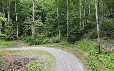 TR 2 Cindy Cove Rd, Blairsville, GA 30511 - photo 7