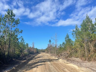savannah creek 5