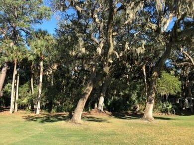 2523 Otter Ln, Seabrook Island, SC 29455 - photo 5