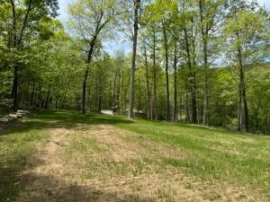 Tract H Ar 7 S, Jasper, AR 72641 - photo 3