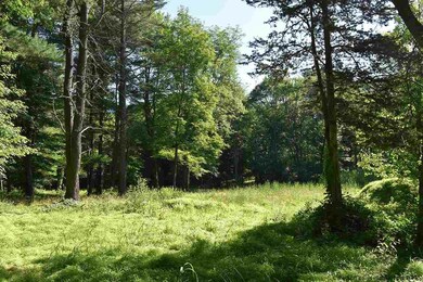 0 Victory Ln unit 20192665, Red Hook, NY 12571 - photo 3