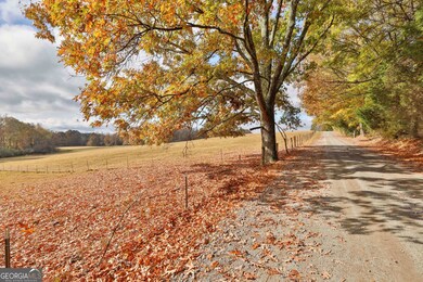 LOT 2 Mask Road - Hanner's Farm S, Brooks, GA 30205 - photo 2