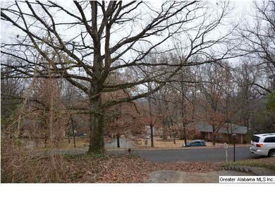 View from Driveway