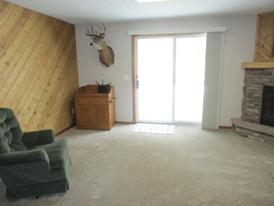 Lower level family room