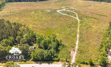 0 Alexander-Munnerlyn Rd, Waynesboro, GA 30830 - photo 5