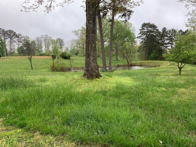 696 Denton Phelps Rd, Somerset, KY 42501 - photo 4