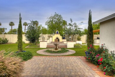 Fantastic Back Yard