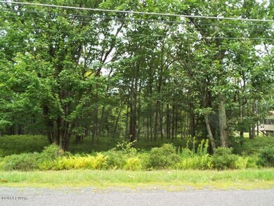 Lot 28 Blackbirch Ln, Blooming Grove Township, PA 18428 - photo 2