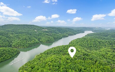 Dale Hollow Lake