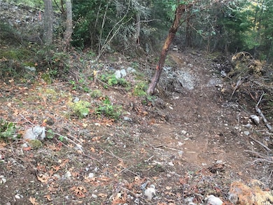 11939 New Morning Dr, Anacortes, WA 98221 - photo 4