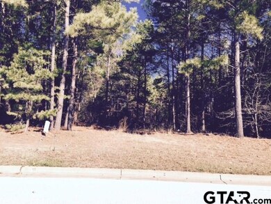 6082 Graemont Blvd, Tyler, TX 75703 - photo 2