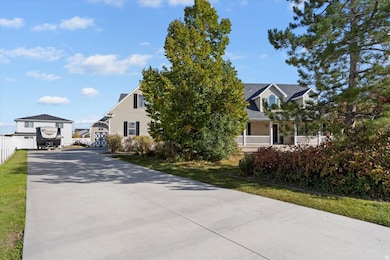 View of property hidden behind natural elements featuring driveway and a front yard
