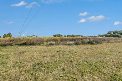 0 Schad Rd unit 24048893, Thornapple Township, MI 49333 - photo 2