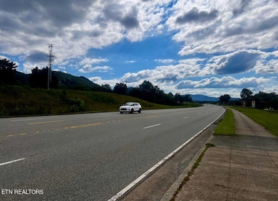 8017 E Lamar Alexander Pkwy, Townsend, TN 37882 - photo 5