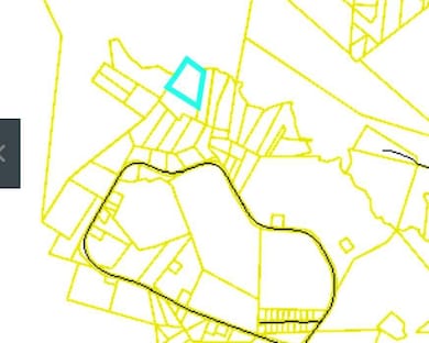 Road outline in black property in blue