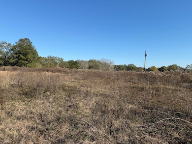 1.79 Acre Crenshaw Rd, Lucedale, MS 39452 - photo 2