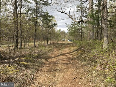 0 Roys Ln unit 1000194671, Glengary, WV 25421 - photo 2