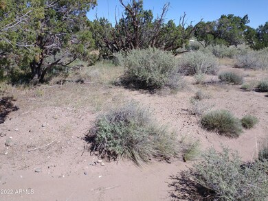 IMG_20220917_105021705