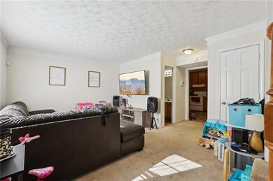 Duplex One