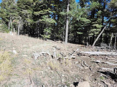 180 Big Dipper Rd unit 19, Cloudcroft, NM 88317 - photo 5