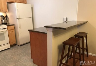 222 Vasser Dr, Piscataway, NJ 08854 - photo 6