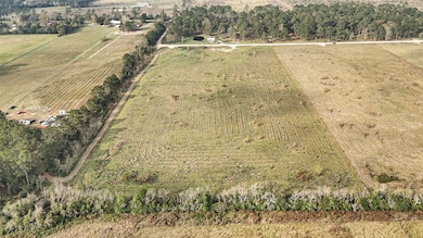 231501 Private Rd, Dayton, TX 77535 - photo 3