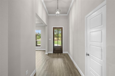 250 Red Top Rd, Poolville, TX 76487 - photo 4