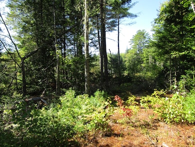 lot 8A N North Howland Rd, Maxfield, ME 04448 - photo 5