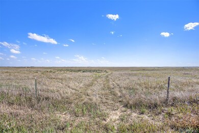 36290 Wagner Ln, Calhan, CO 80808 - photo 4