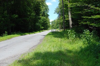 4 Sundew Rd, Roaring Brook Township, PA 18436 - photo 6