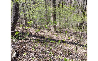 Additional View