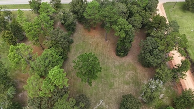 0 Ed Tolar Rd, Pansey, AL 36370 - photo 4