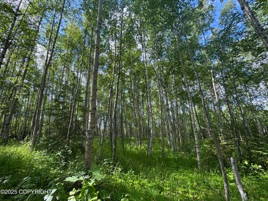 3597 S Dawn Lake Dr, Wasilla, AK 99654 - photo 6