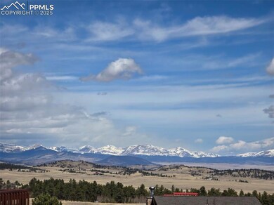 10317 Ranch Rd, Hartsel, CO 80449 - photo 3