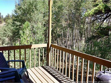 533 Superstition Trail, Hartsel, CO 80449 - photo 5