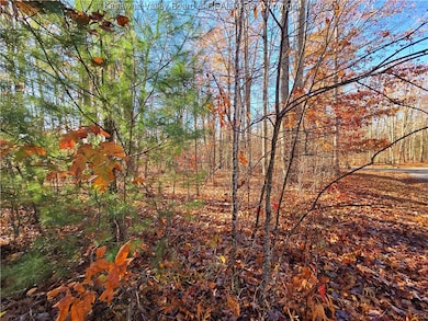 175 Rothfield Cir, Daniels, WV 25918 - photo 5