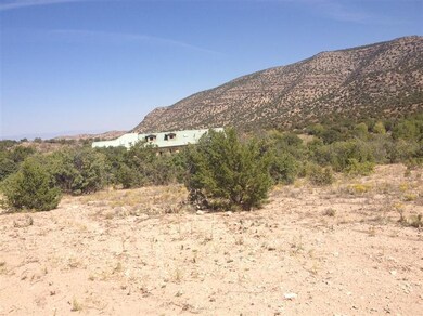 12 Camino Don Juan, Placitas, NM 87043 - photo 6