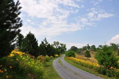 Seven Hills Tour (3)