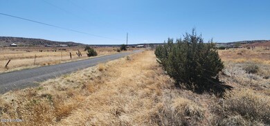 tbd E 2nd St unit 15, Concho, AZ 85924 - photo 3