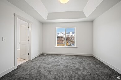 Unfurnished room featuring carpet, a tray ceiling, and baseboards