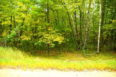 Lot 27 Block 7 Oak Dr, Moran Township, MN 56438 - photo 2