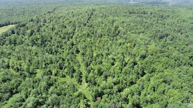 1694 U S Route 1, Orient, ME 04471 - photo 7