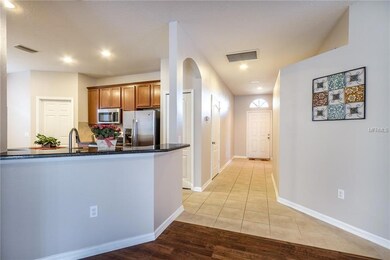 18854 New Passage Blvd, Land O Lakes, FL 34638 - photo 6