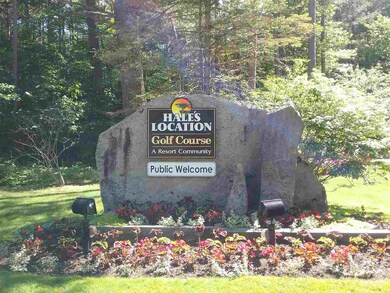 28 Falcon Way, Hales Location, NH 03860 - photo 3